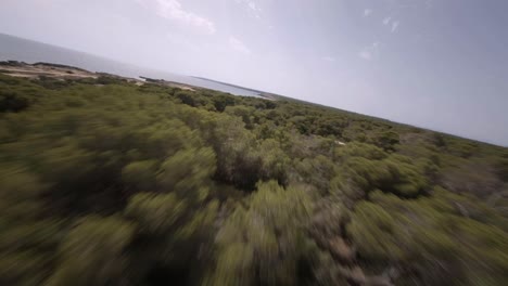 fpv drone shot flying over dense green forest along rocky beaches in faro de s'estalella, mallorca, balearic islands, spain at daytime