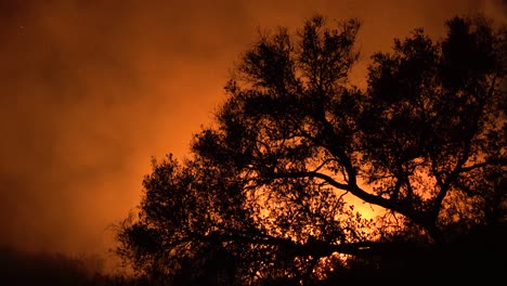 Ein-Buschfeuer-In-Den-Hügeln-Von-Malibu-Brennt-Außer-Kontrolle-Im-Woolsey-Fire-2