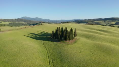 drone-shot-at-sunset-of-the-famous-cypresses-from-Val-d'Orcia-in-Tuscany,-Italy