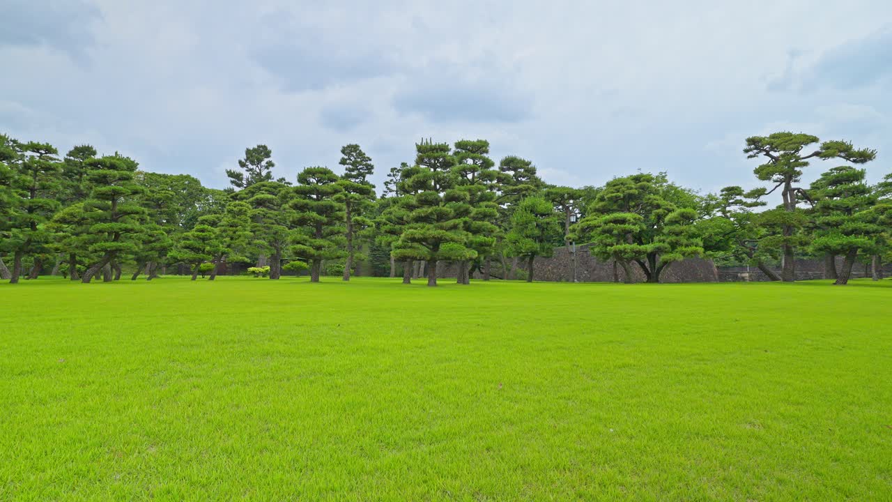 A vast, well-maintained green lawn at Kokyo Gaien National Garden, offering an open, serene space in the heart of Tokyo.