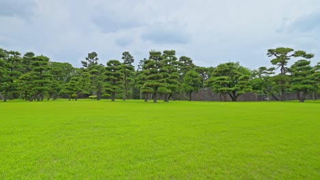 a vast, well-maintained green lawn at kokyo gaien national garden, offering an open, serene space in the heart of tokyo.