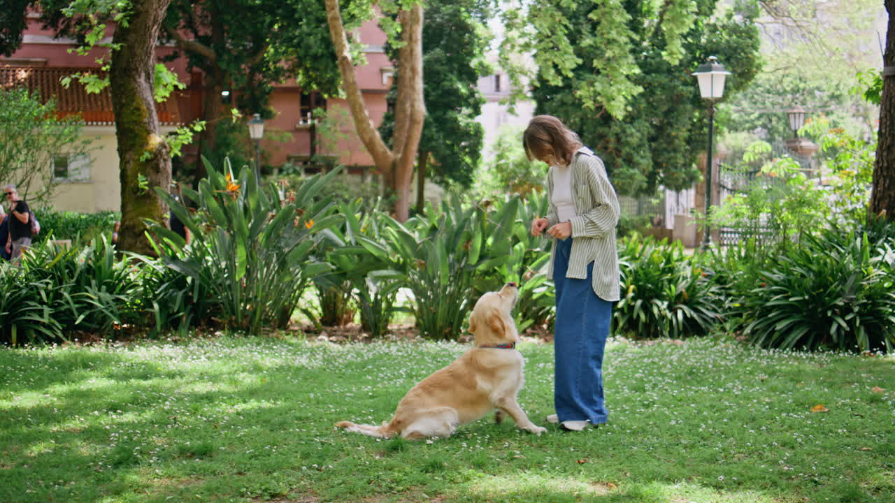 Playful woman training dog in sunny park. Happy girl enjoying golden retriever