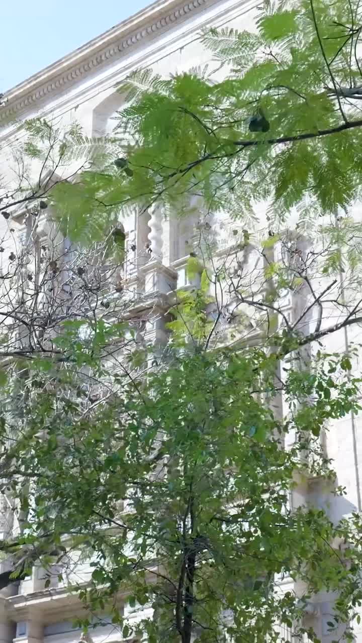 City Building with Trees