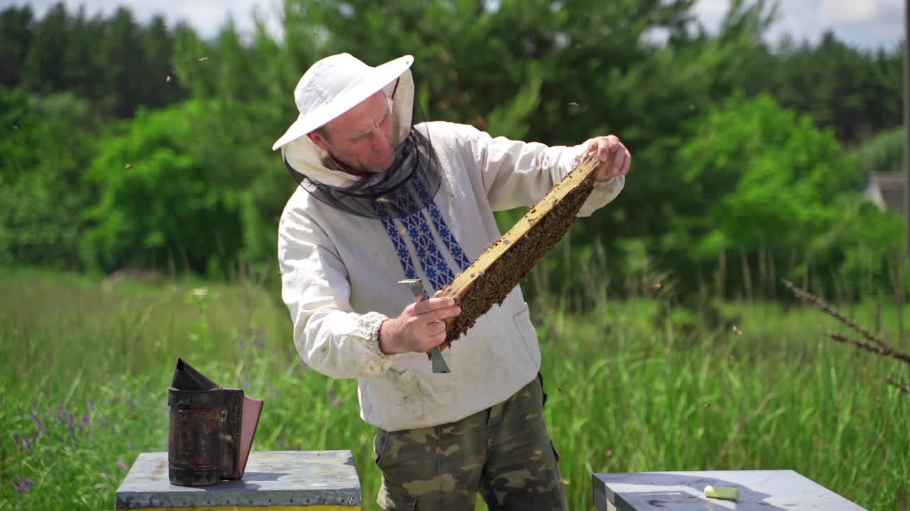 Muž držící plástev plnou včel. Včelař v ochranném oděvu kontroluje rámek ve včelíně.