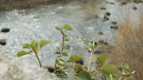 steady shot of a river