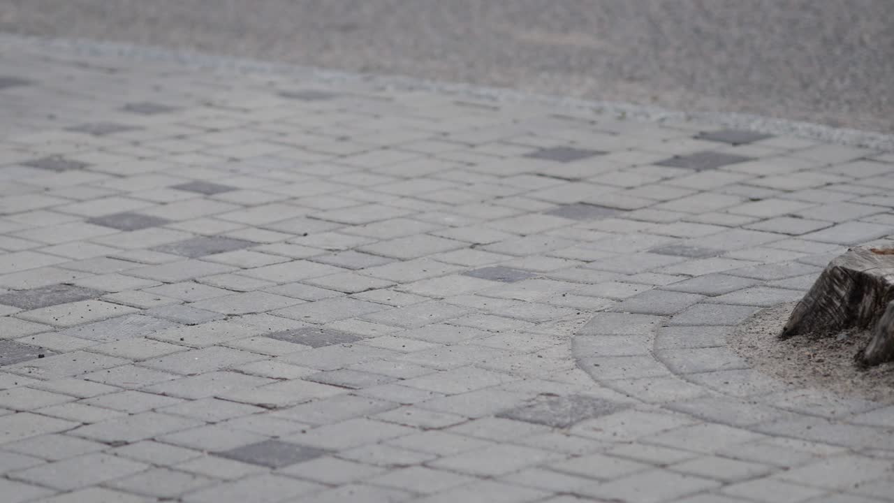 The sidewalk is paved with tiles. A stump of a large sawn tree in a circle