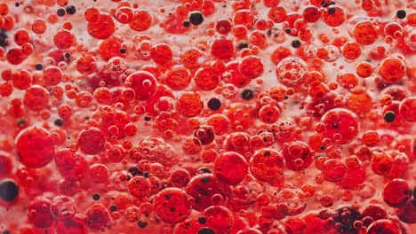 macro shot of red and black bubbles slowly moving around in water