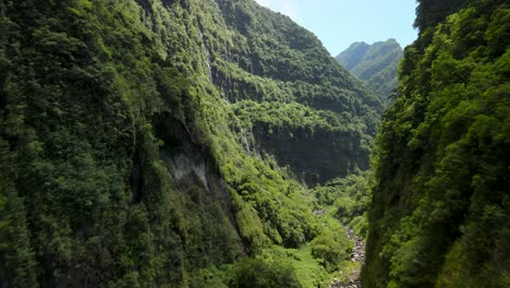 vista aérea de un barranco tropical al mediodía en la isla de la reunión