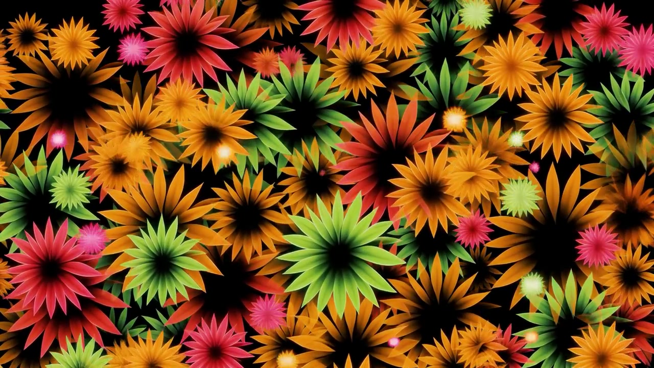 Farbenfrohe abstrakte Blumen blühend auf schwarzem Hintergrund