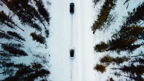 two modern cars are driving on a snow-covered road in the forest of the arctic circle with landscape view at the end