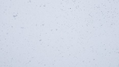 grandes copos de nieve caen contra un cielo brillante