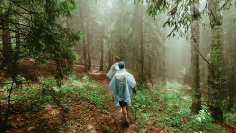 over the head follow shot, of two hikers walking within a coniferous forest with the sun rays passing throw the tree branches alongside the mountain trail