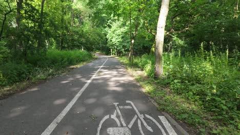 A-sunny-bike-path-in-a-lush-green-forest-with-dappled-light