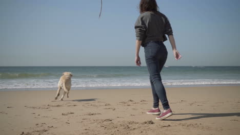 Zeitlupenaufnahme-Einer-Jungen-Frau,-Die-Mit-Einem-Hund-Am-Meeresufer-Spielt.