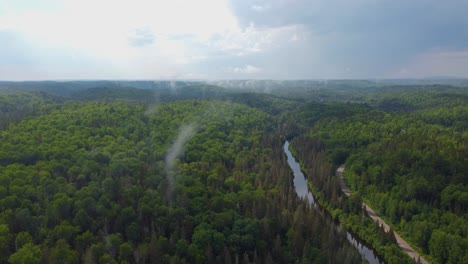 Exuberantes-árboles-Forestales-Ahumados-Junto-Al-Río-Durante-El-Amanecer-Cerca-De-Toronto,-Canadá