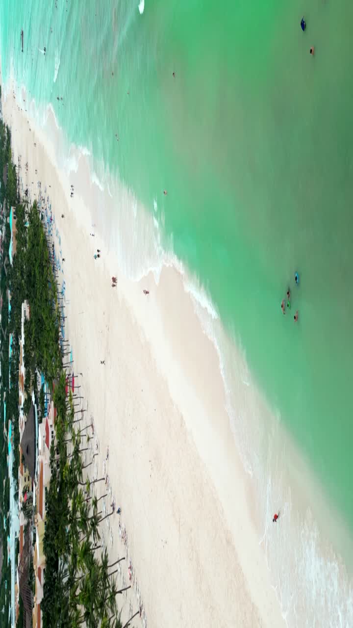 воздух - пляж пляя-дель-кармен живое море и пальмовое побережье, мексика - вертикально