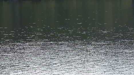 Shimmering-ripples-on-the-surface-of-water