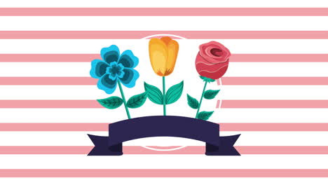 beautiful flowers garden with ribbon animated