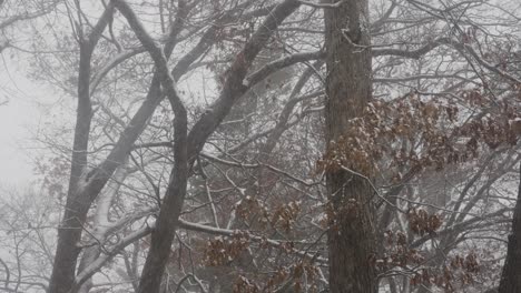 Heavy-Snow-falling-after-the-first-storm,-speed-ramping-in-and-out-of-slow-motion