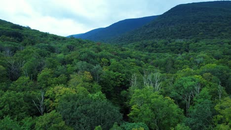 Hermosas-Imágenes-De-Drones-Primaverales-En-Las-Montañas-De-Los-Apalaches