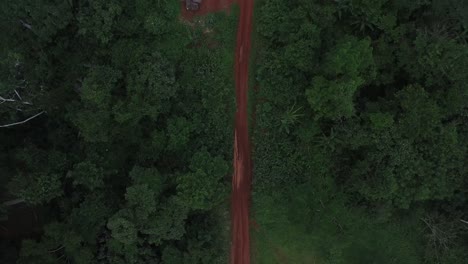 Drone-footage-as-it-flies-high-above-a-dirt-road-in-the-middle-of-the-forest-showing-many-houses-along-the-way-as-it-flies