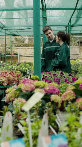 people shopping for plants in a greenhouse