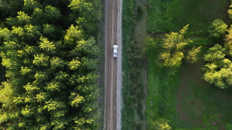 A top-down view of a white car driving along a dirt road, surrounded by dense forests and nature.