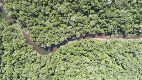 Eine-Von-Einer-Drohne-Aufgenommene-Vogelperspektive,-Die-Das-üppige-Dschungeldach-Und-Einen-Sich-Schlängelnden-Fluss-Zeigt,-Der-Sich-Durch-Das-Herz-Des-Regenwaldes-Schlängelt