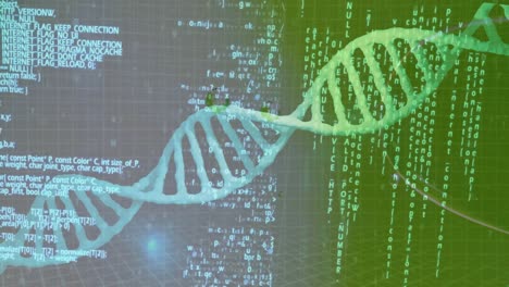 Animación-Del-Procesamiento-De-Datos-Sobre-Burbujas-Y-Hebras-De-ADN-Sobre-Fondo-Verde