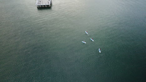 standup paddleboarding activity in the tranquil baltic sea near pier of orłowo, gdynia