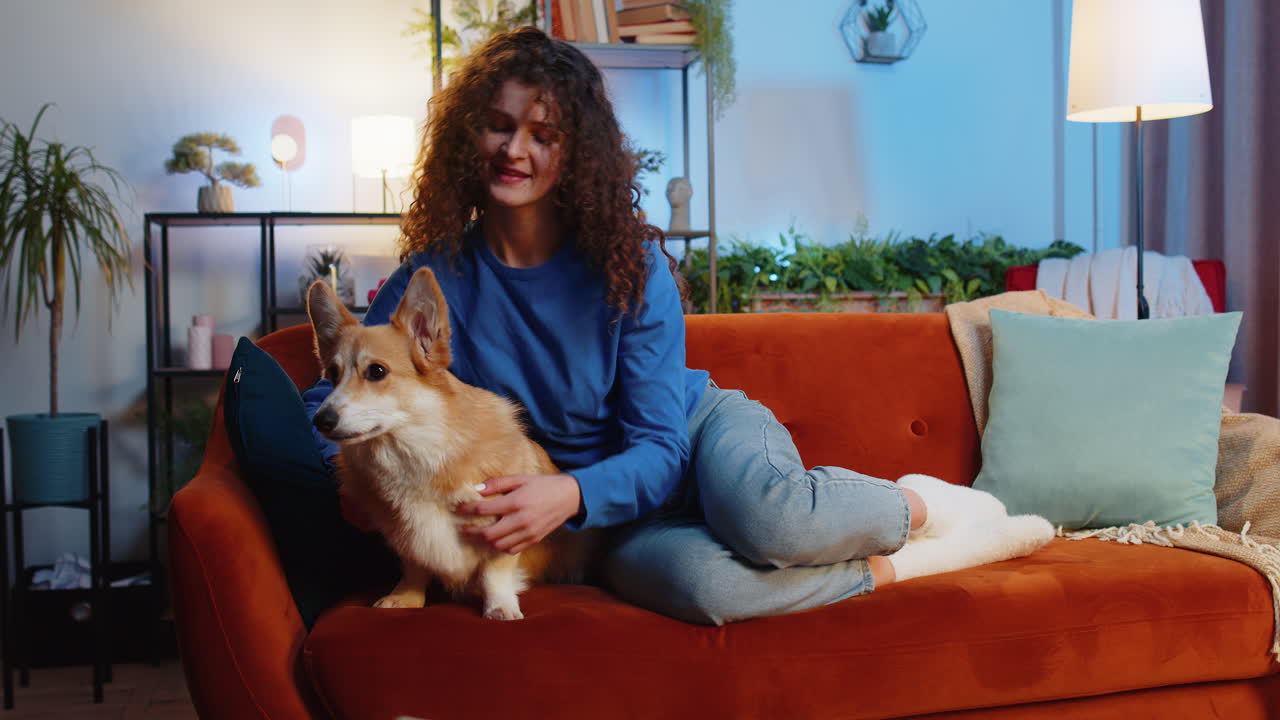 귀여운 애완동물인 코르기 개가 집 아파트의 거실에서 편안한 소파에서 휴식을 취하는 여자