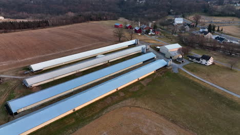 Large-poultry-chicken-house-barns-on-rural-farm-in-USA