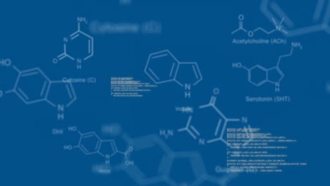 Interface-codes-with-molecular-structures