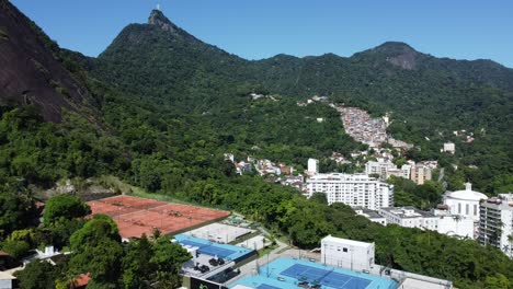 brazilian bond of nature and sports