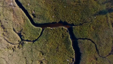 Top-down-view-of-a-winding-grassy-creek