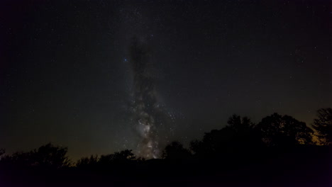 milky way galaxy over silhouetted trees at night