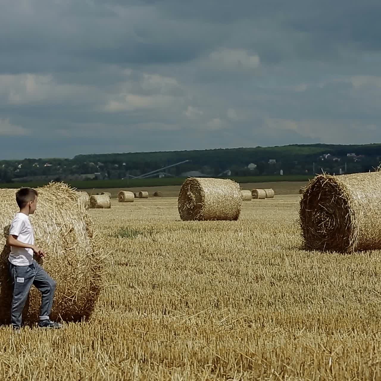 Child Boy In The Field