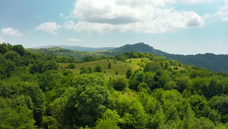 vuelo aéreo sobre la vista de montañas y prados boscosos verdes salvajes en la región de kakheti en georgia