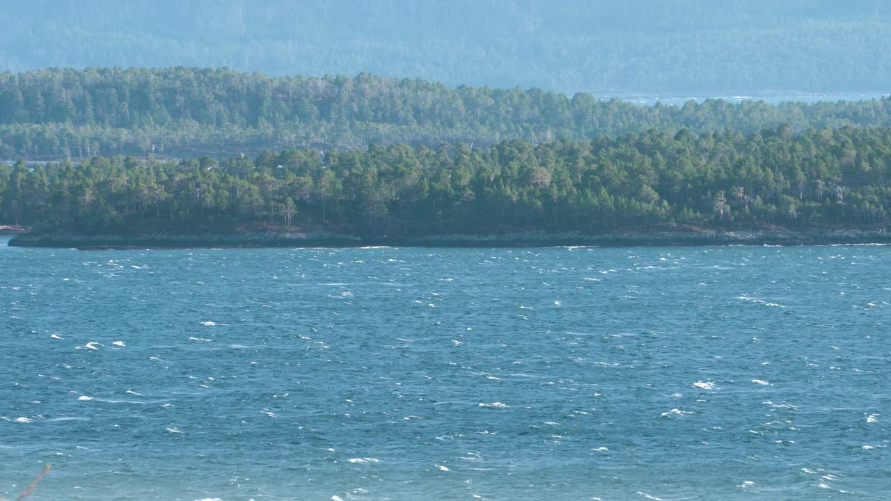 바다에 강한 바람이 불고, 작은 파도가 형성되고, 배경에는 녹색 숲이 있습니다.