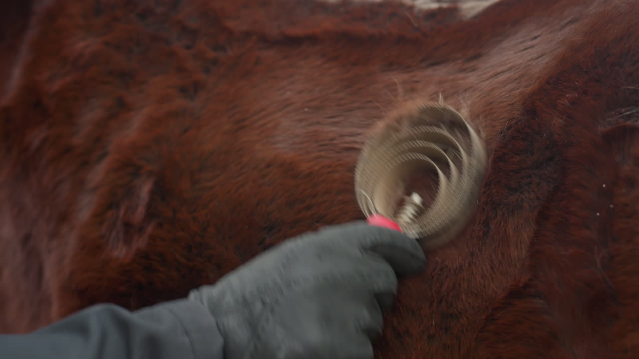 Por favor, proporciona tus instrucciones detalladas; a la espera de tus instrucciones completas para poder ayudarte con precisión, facilita información completa y precisa para que podamos ofrecerte un soporte eficaz.