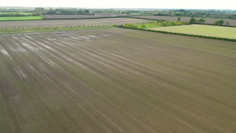 Drohnenaufnahmen-Fliegen-über-Ein-Nasses,-Gesätes-Bauernfeld,-Auf-Dem-Die-Feldfrüchte-Gerade-Erst-Zu-Wachsen-Beginnen