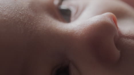 una foto macro de los ojos de un bebé
