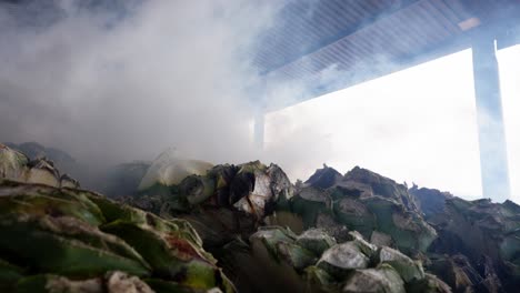 slow motion shot of an agave furnace in a mezcal factory at oaxaca with smoke coming out full of espadin agave