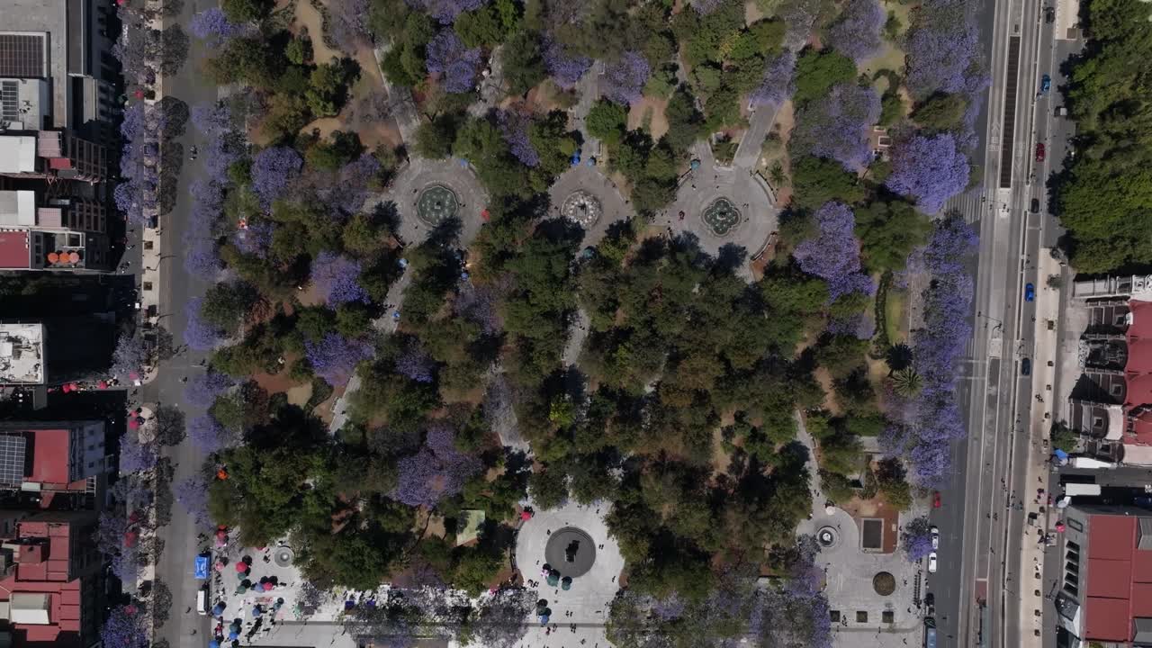 Alameda Park, Mexico City, Morning, aerial shot, nature, Mexico, trees, Big City