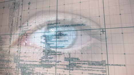 Animation of data processing over womans eye
