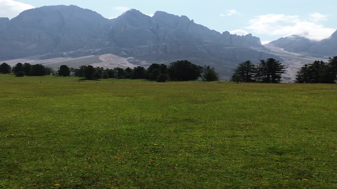 Beautiful drone footage transitioning from grassy meadows and forest to a breathtaking panoramic view of the majestic Dolomites in Italy, showcasing their rugged peaks and natural beauty.