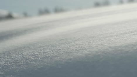 cierre el foco en cámara lenta mientras el viento sopla cristales de hielo y nieve a través de un campo cubierto de nieve profunda, en un día de invierno brillante con árboles en la distancia