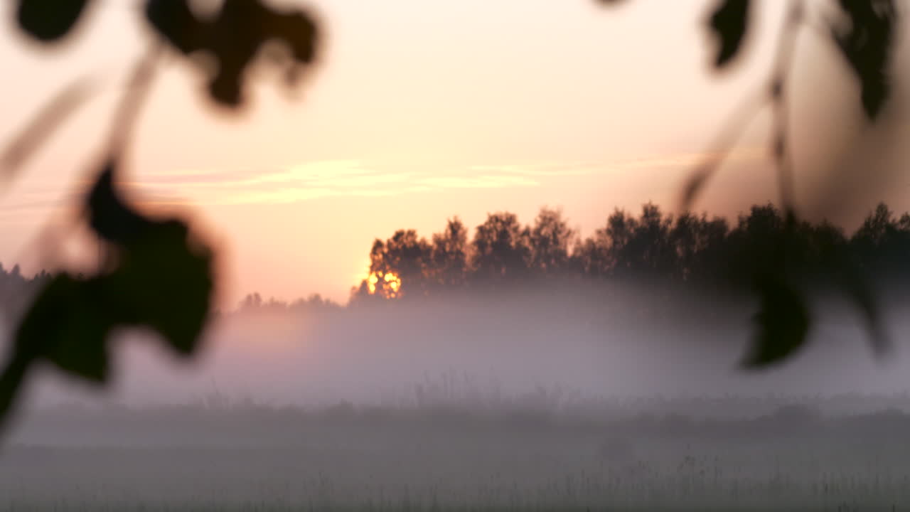 해질녘 안개에 싸인 들판의 탁 트인 전망