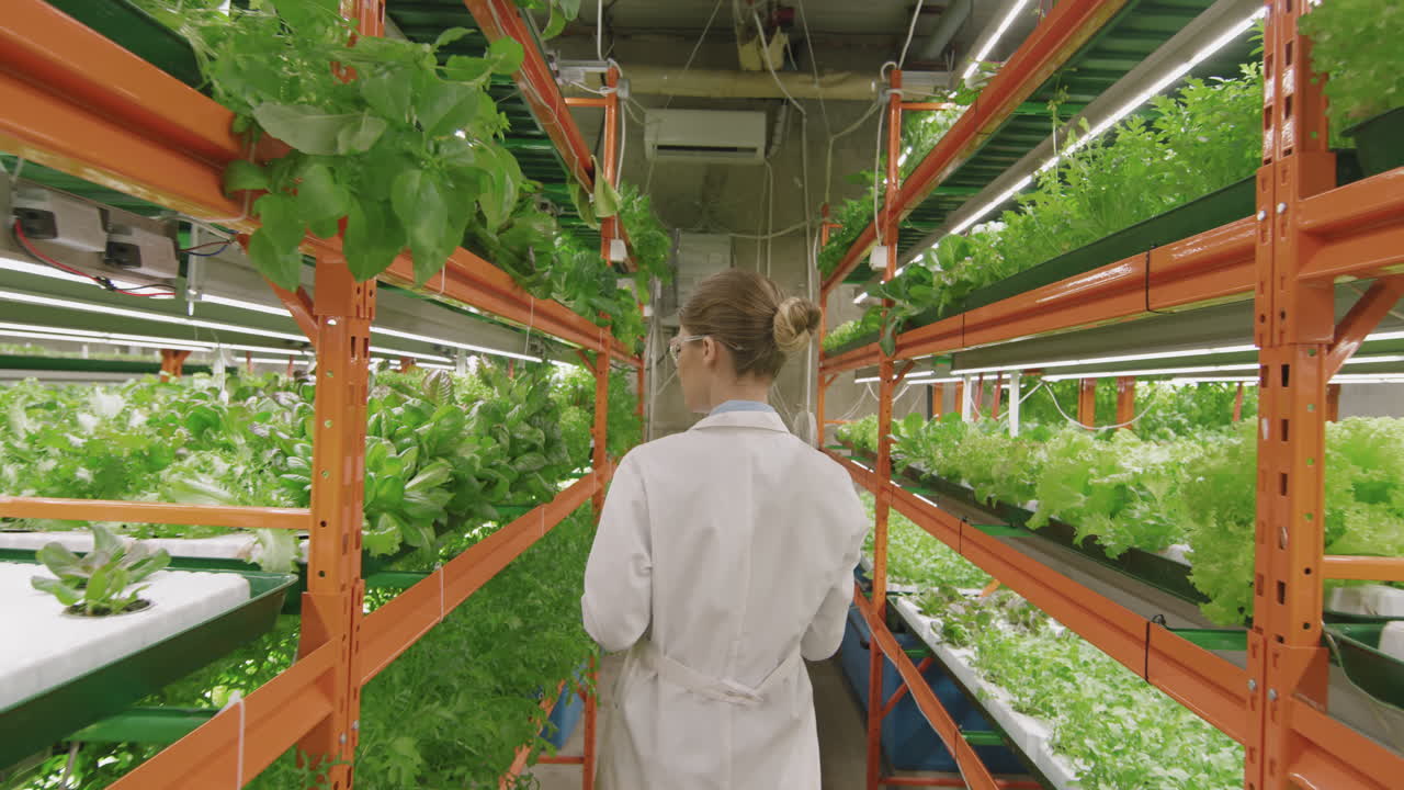 Agroengineer In Lab Coat Walking Along Vertical Farm