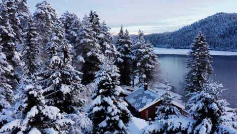 snow-covered pine trees and cabin by the mountains during winter in norway